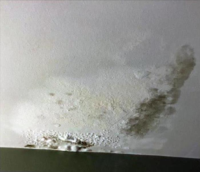 A flood damaged ceiling with water spots and mold covering the area 