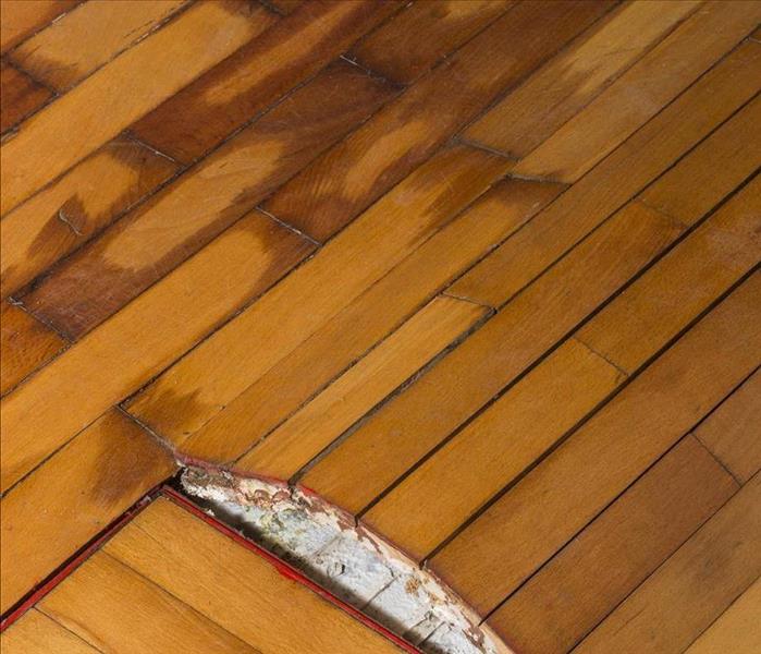 Damaged wood flooring