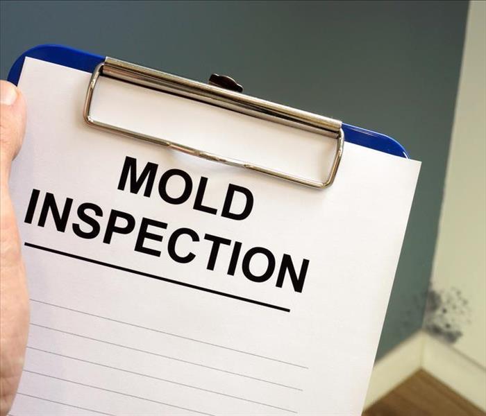 mold inspection clipboard