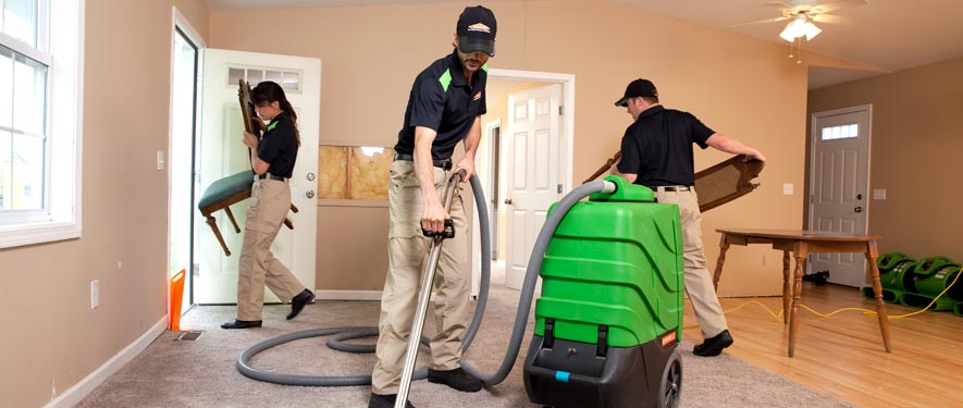 Buffalo Grove, IL cleaning services